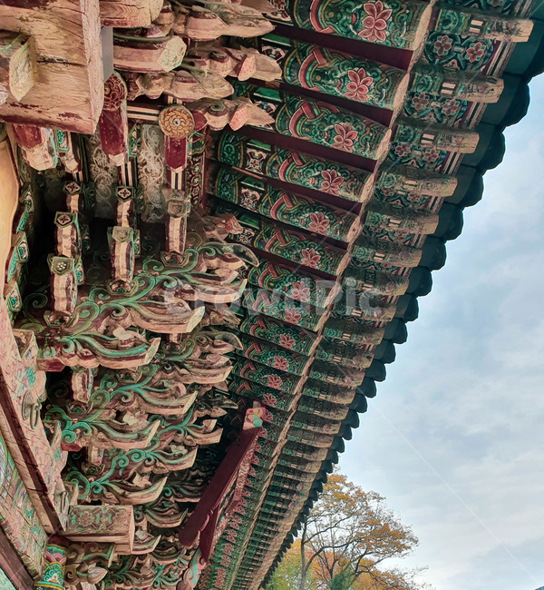 temple,architecture,건축물,절,building,건물,단청,기와,지붕,loof,한국전통,한국문화,korean traditional,korean culture