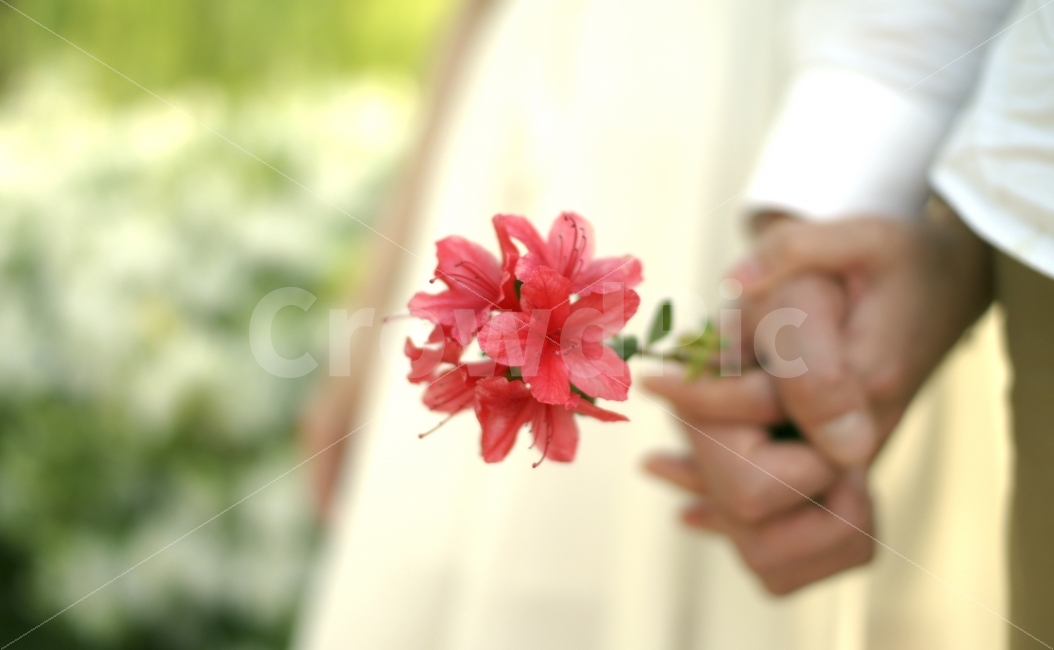 연인,사랑,커플,부부,애정,따뜻,감성,감정,낭만,행복,환희,꽃,감성사진,따뜻한사진,아름다움,love,식물,자연,plants,nature,꽃,flower,사람,인물,인간,human,person,감정표현,기분,feeling,emotion,연인,커플,사랑,lover,couple,감성,sensible,연출,컨셉,콘셉,direction,concept