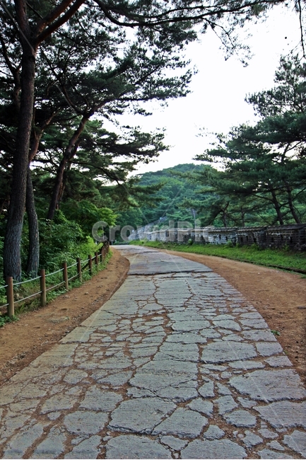 남한산성,산성,mountainfortress,namhansanseongfortress,namhansanseong,자연,풍경,nature,landscape,path,통로,walkway,보도,flagstone,판석