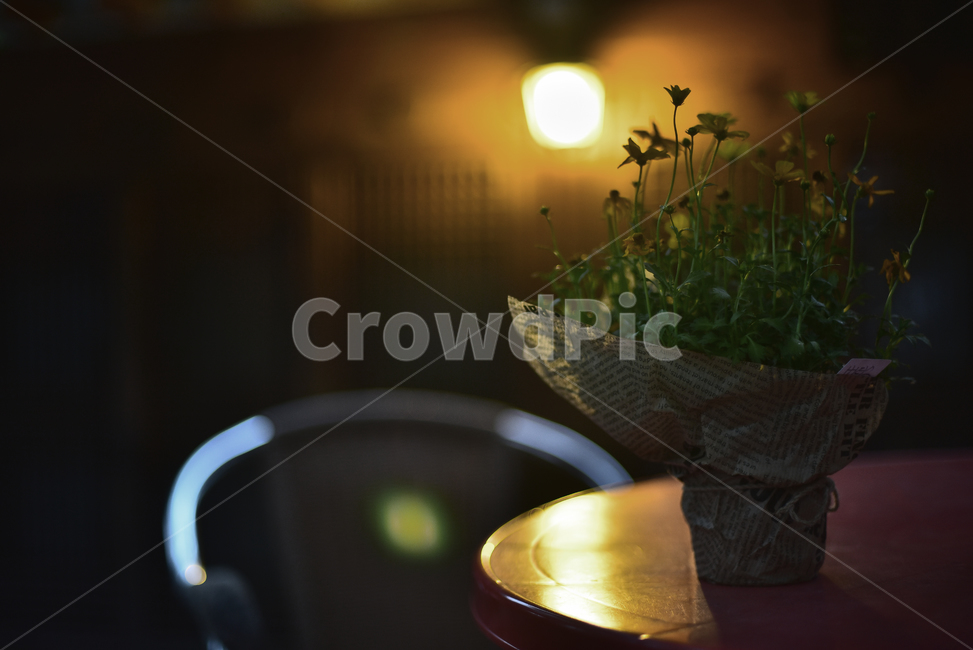 카페,감성사진,불빛,등불,화분,화초,꽃,의자,조명,라이트,cafe,light,flowers,table,테이블,야간풍경,느낌,필링,분위기,emotional,sensible,feeling,background,배경,바탕,백그라운드,전통카페,밤풍경