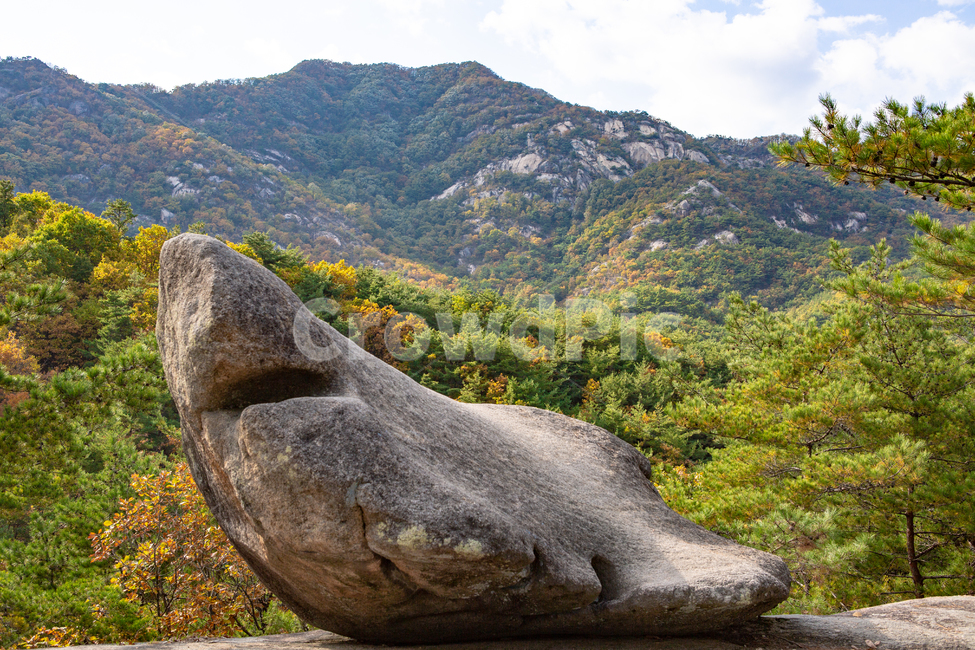 바위,바위산,가을,가을산,산바위,신기한사진,큰바위,산,등산,단풍,단풍산,상어,상어바위,신기한바위,가을,계절,fall,autumn,season,자연,풍경,nature,landscape,outdoors,옥외,mountain