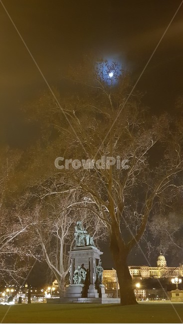 헝가리,부다페스트,달밤,야경,동상,야경,밤,풍경,nightscape,night,landscape,해외,외국,세계,foreign,oversea,world,조각상,동상,석상,조형물,statue,bronze statue,stone statue,nature,자연,outdoors,옥외