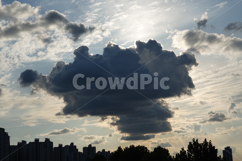 구름,하늘,sky,하늘뷰,skyview,cloud,가을하늘,도시,풍경,city,landscape,weather,날씨,nature,자연,outdoors,옥외,cumulus,적운