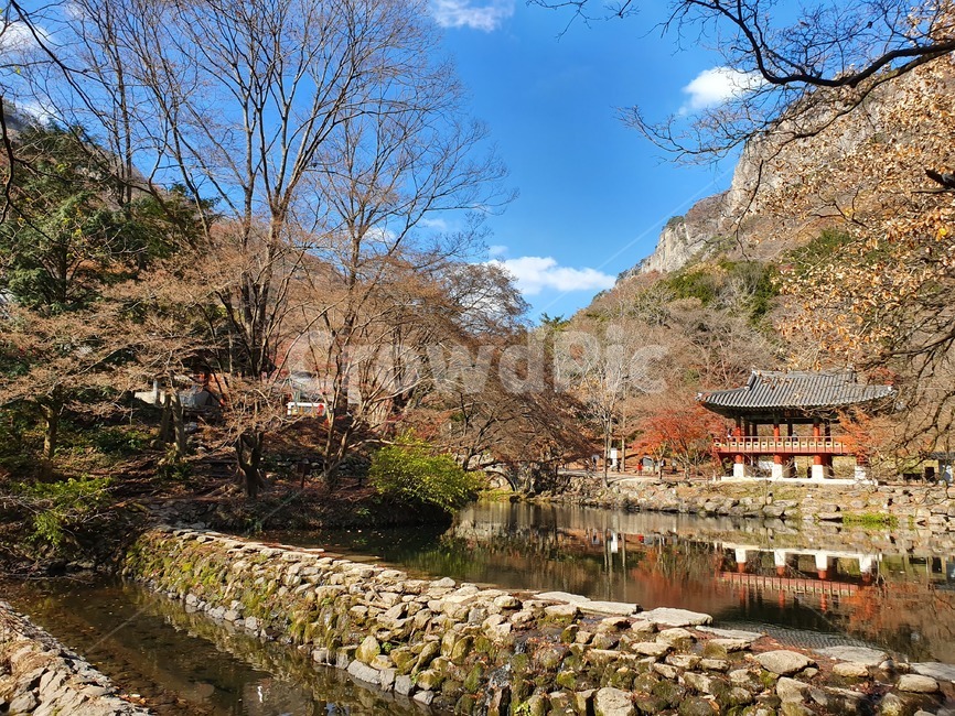 장성백양사,절,쌍계루,가을풍경,자연,연못,한국전통,한국문화,korean traditional,korean culture