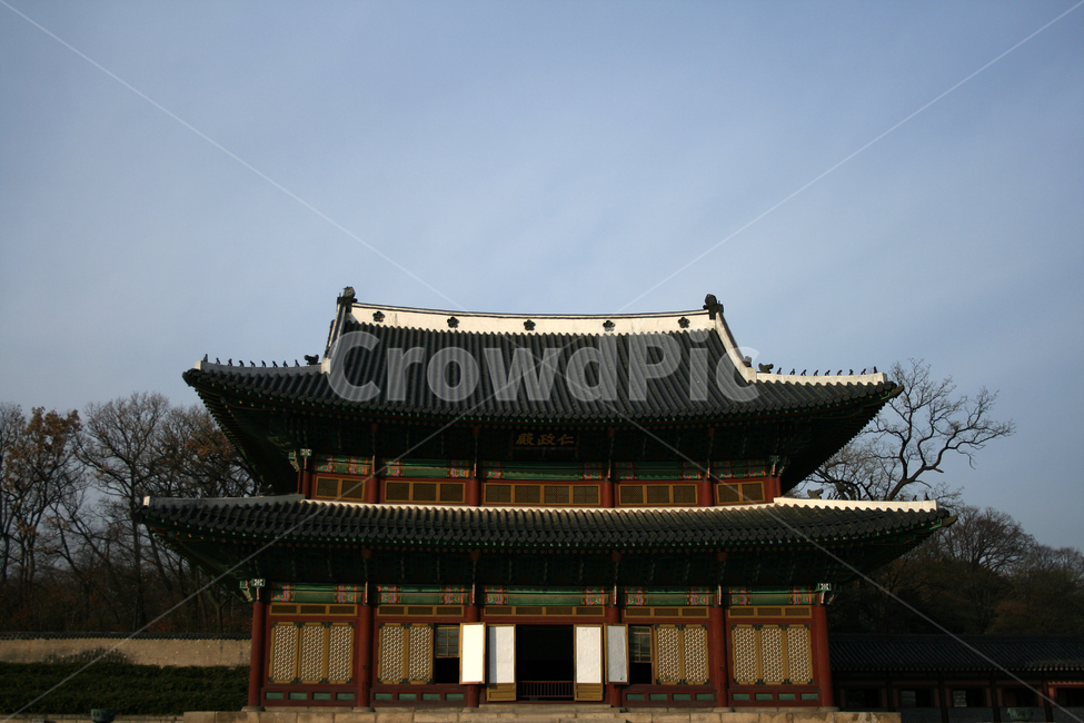 창덕궁,인정전,궁궐,한국의궁,세계문화유산,문화유산,한국,한국전통,한국문화,korean traditional,korean culture,랜드마크,landmark,tourist attraction,한국랜드마크,한국관광지,한국명소,korea landmark,korea tourist attraction