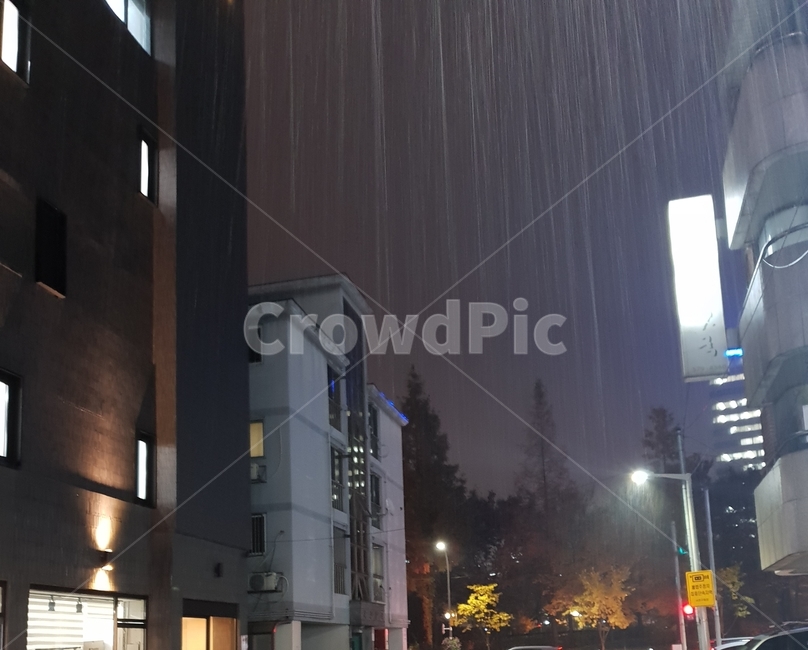 밤,비,가로등,빗줄기,감성,비,비오는날,rain,rainy
