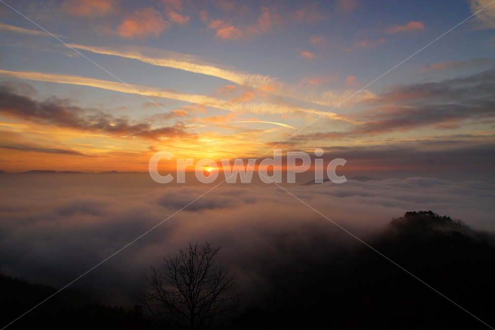 양성산,일출,문의면,풍경,운해,자연,풍경,nature,landscape,outdoors,옥외,sky,하늘