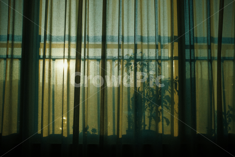 감성,sensitivity,커튼,인테리어,interior,flowerpot,curtain,화이트,white,그림자,석양,sunset,화분,shadow,실루엣,silhouette,감성,sensible,feeling,인테리어,실내디자인,interior design