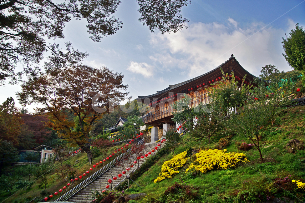 청계사,의왕시,고찰,사찰,불교사찰,청계산,가을,계절,가을,계절,fall,autumn,season,종교,신앙,religion,belief,faith,architecture,건축물,building,건물,pagoda,탑,worship,예배,temple,신전,shrine,신사