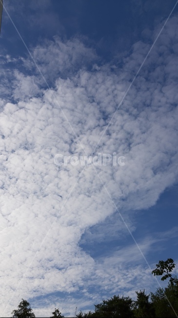 하늘,sky,구름,cloud,화이트,white,자연,풍경,nature,landscape,outdoors,옥외