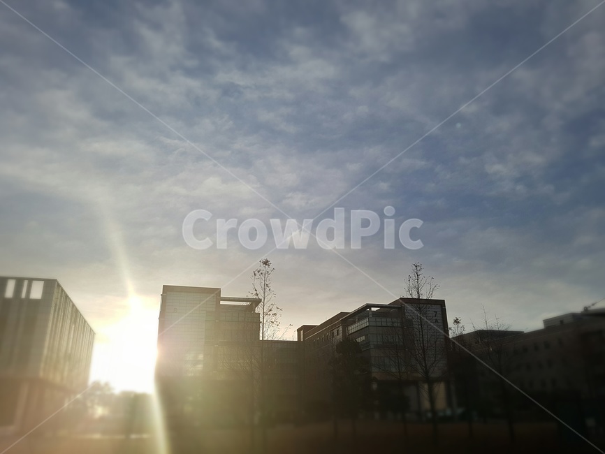 하늘,태양,해,일출,눈부심,도시,풍경,city,landscape,flare,플레어,light,빛,sunlight,햇빛