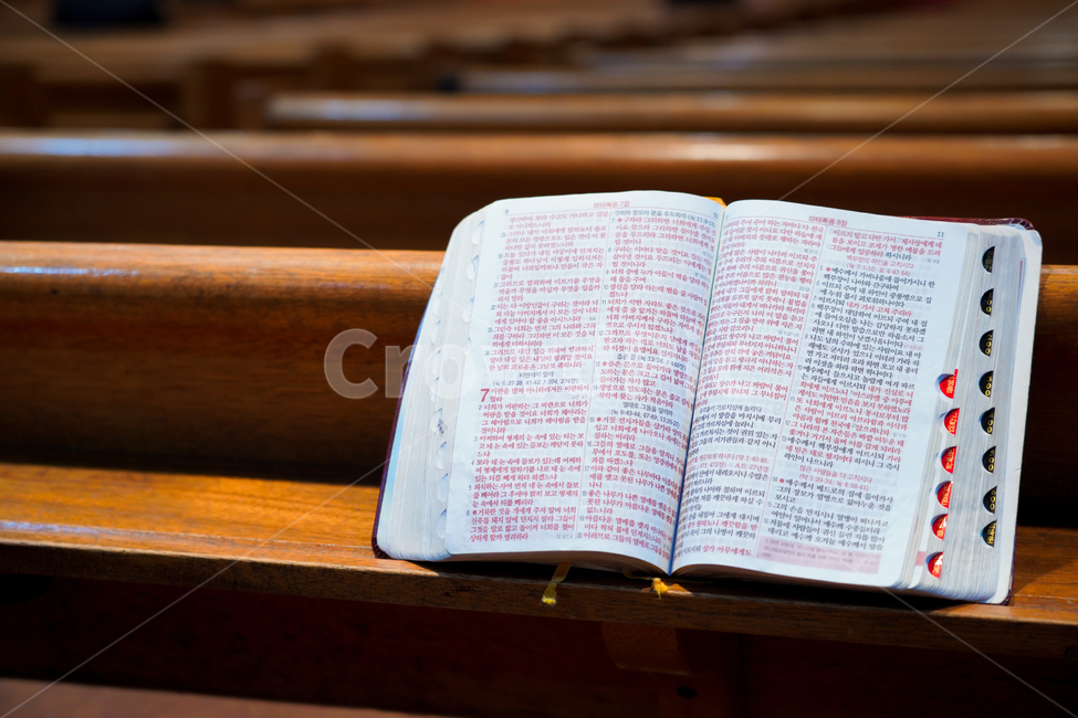 성경,부활절,책,마태복음,교회,종교,의자,찬양,기도,말씀,묵상,독서,신학,신앙심,기독교,예배,비어있는,실내,종교,신앙,religion,belief,faith