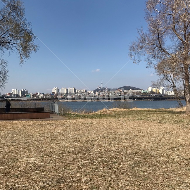 한강,가을,공원,강,낮
