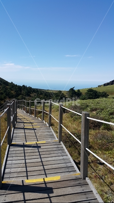 영실코스,윗세오름,한라산,계단,평화,맑은하늘,구름,산,등산