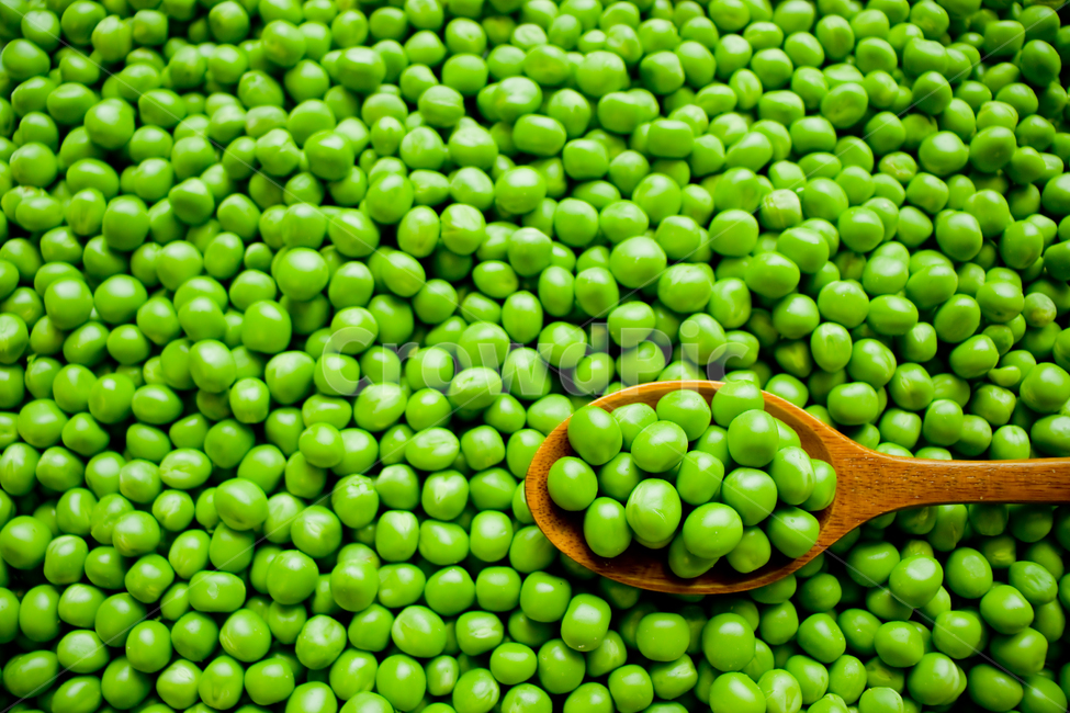 Fresh,freshness,pea,wellbeing,Wellbeing food,protein,Food Ingredients,spoon,grain,bean,fiber,natural,vitamin,background,plant,Spoon,dietary fiber,wooden spoon,crop,pod,crops,vegetable,vivid,agriculture,harvesting,farming,ingredients,Dietary Fiber,Agricult