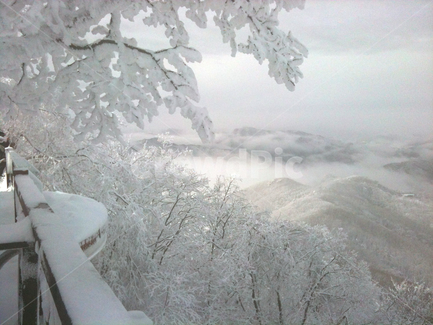 설경,상고대,눈꽃풍경,겨울,서리꽃,눈,안개,자연,등산,구름,하늘