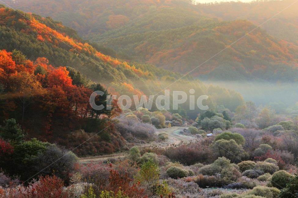 양양,가을,단풍,안개,서리,가을,계절,fall,autumn,season,자연,풍경,nature,landscape,한국자연풍경,한국자연경관,korea nature landscape,painting,그림,art,미술,outdoors,옥외,weather,날씨