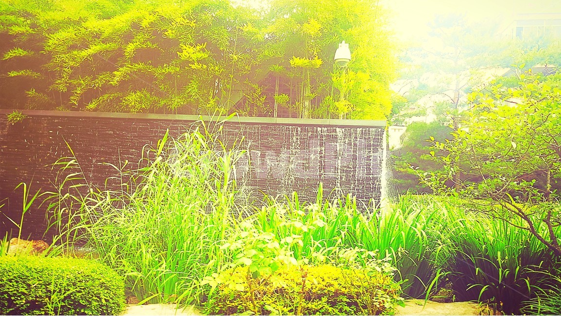 분수,꽃,공원,낮,폭포,식물,자연,plants,nature