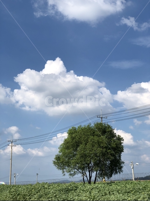 하늘,구름,나무,푸른하늘,전봇대,날씨,풍경,자연,cloud,nature,azuresky,자연,풍경,nature,landscape,나무,trees,wood
