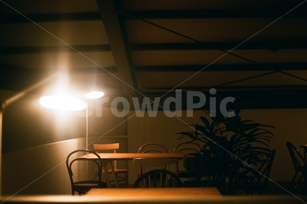 빈자리,테이블,카페,커피,조명,나무,화분,천장,공장,의자,감성사진,연출사진,필름사진,조용한,혼자,외로운,고독한,sensitive,film,alone,감성,sensible,feeling,인테리어,실내디자인,interior design,연출,컨셉,콘셉,direction,concept