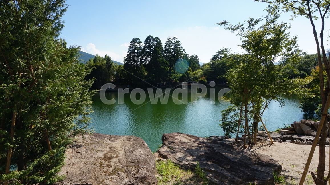 연못,자연,water,물,호수,가을,하늘,공원,nature,landscape,outdoors,옥외,lake,경관,그림자,아침,식물,pland,leaf,자연,풍경,nature,landscape