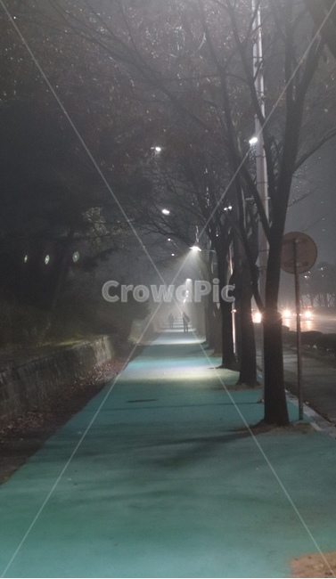 흐린저녁,비오기전,안개,감성,산책로,산책