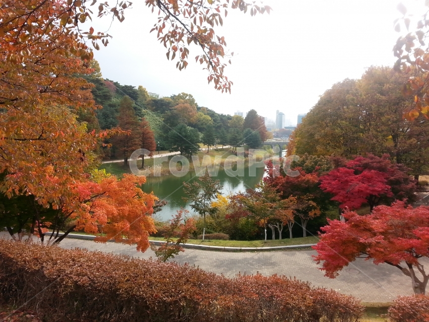 가을,풍경,자연,공원,호수,산책로,오후,하늘,올림픽공원,단풍,가을,계절,fall,autumn,season,tree,나무,plant,식물,maple,단풍,leaf,잎