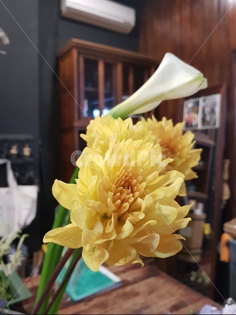 naturalbouquet,frenchstyle,plant,식물,blossom,flower,flowerarrangement,naturalflower,frenchflower,florist,wedding,ceremony,handtiedflower,handtiedbouquet,frenchbouquet,weddingbouquet,bridalbouquet