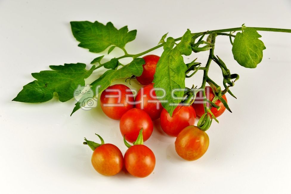 Nukki,Cherry tomato,Fruit,fruit,natural product,tomato,vegetable,food,red,fresh fruit,dessert,healthy food,plant,Food Ingredients,ingredients,diet,organic