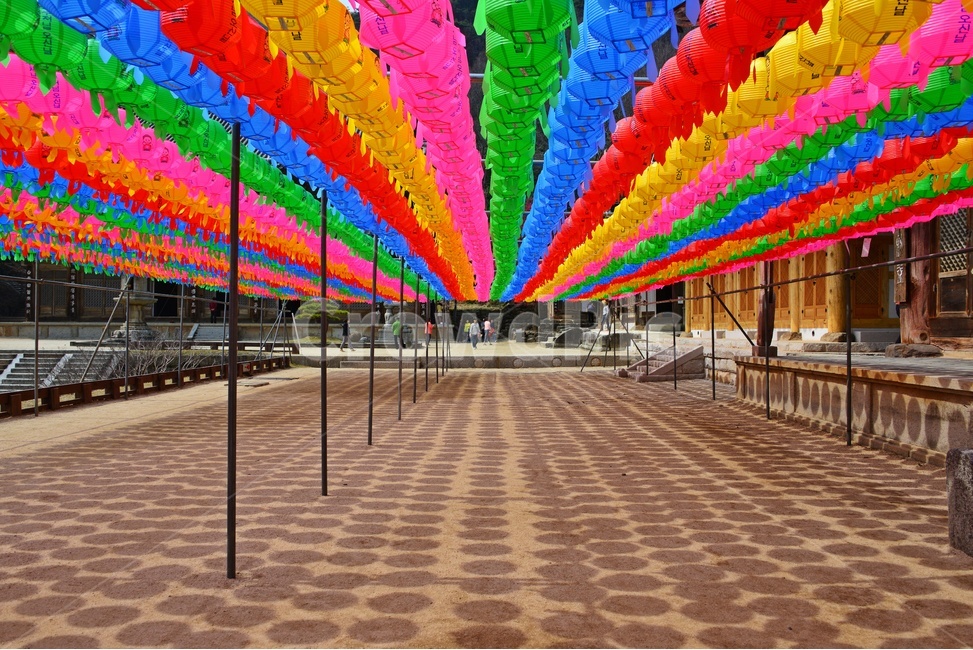 person,사람,flooring,바닥,human,인간,architecture,건축물,building,건물,plant,식물,구례,화엄사,사찰,절,불교,연등,부처님오신날,유적지,문화재