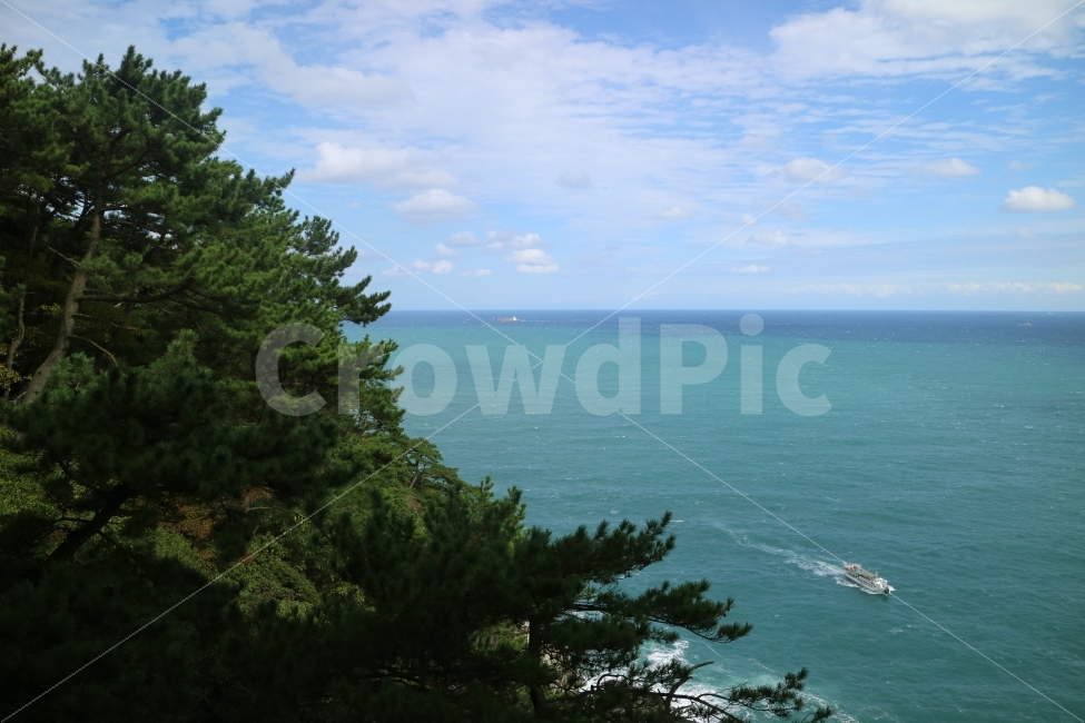 나무,바다,풍경,자연,하늘,구름,지평선,파란하늘,푸른하늘,자연,풍경,nature,landscape,교통,교통수단,traffic,transportation,tree,plant,식물,fir,전나무,land,땅,outdoors,옥외,promontory,곶