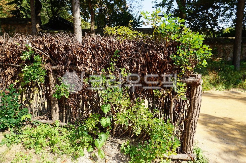 한국민속촌,용인,사립문,싸리문,파자문,koreanfolkvillage,yongin,twiggate