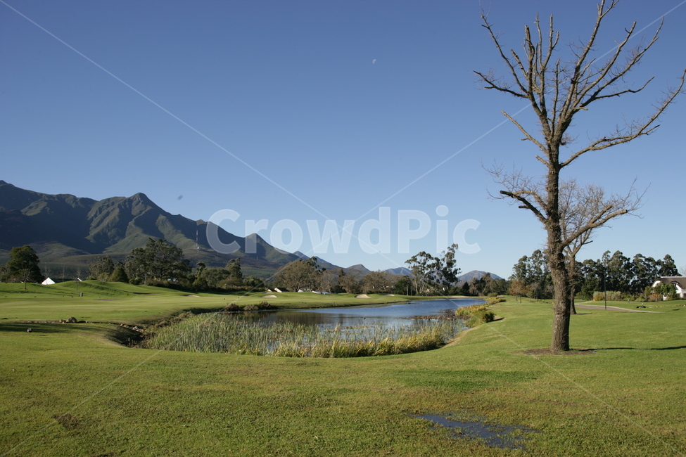 field,들,outdoors,옥외,golfcourse,골프코스,남아프리카공화국,케이프타운,자연,풍경,nature,landscape