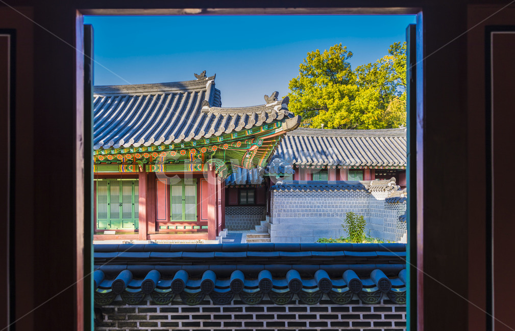 고궁,기와,창경궁,문화유산,기와담장,문화재,한국의미,단청,처마,지붕,한국전통,한국문화,korean traditional,korean culture,건축물,건물외관,exterior,building,structure,architecture,construction