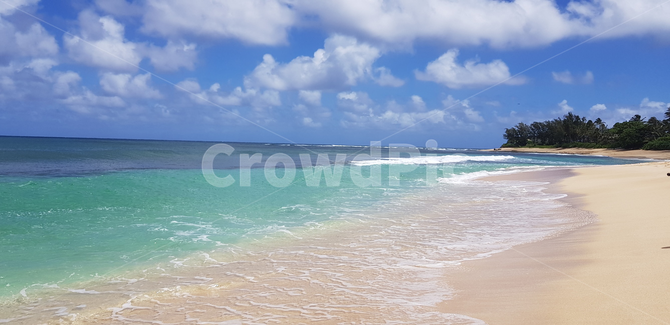 shoreline,대양,outdoors,sea,옥외,바다,해안선,water,nature,자연,물,ocean,하와이,호놀룰루,hawaii,honolulu,여름,계절,summer,season,자연,풍경,nature,landscape,해변,바다,beach,sea