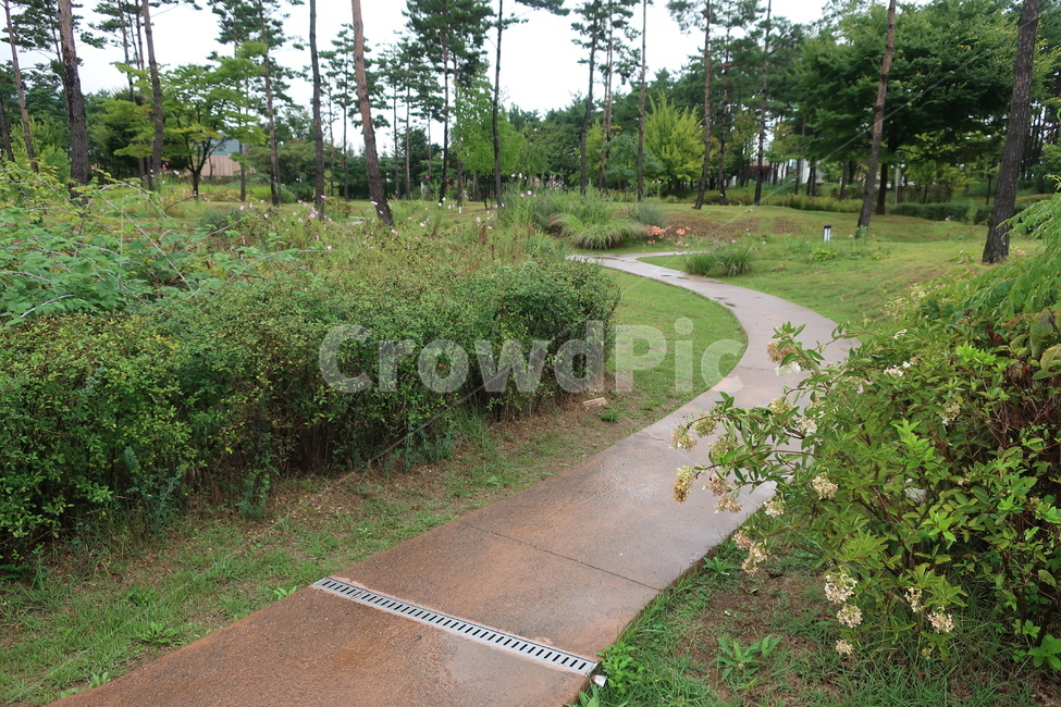 서울,창포원,식물원,도시,공원,습지,조성,숲,산책,산책로,자연,풍경,nature,landscape,path,통로,plant,식물,grass,잔디