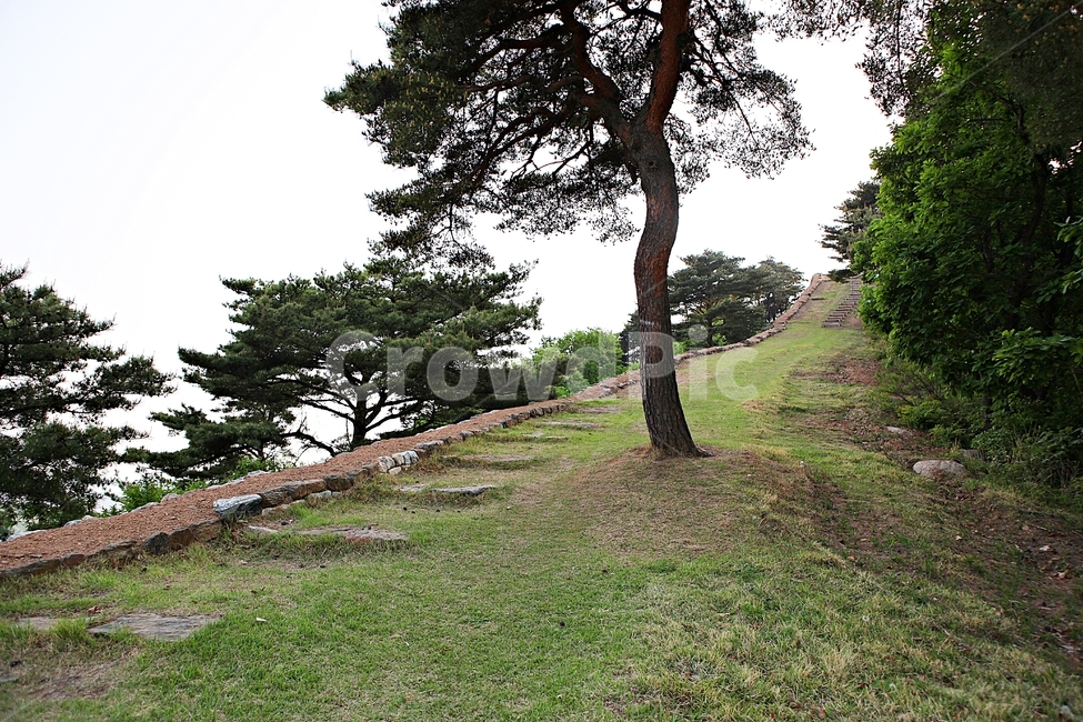 성,전등사,전등사성곽,돌담,숲길,자연,배경,풍경