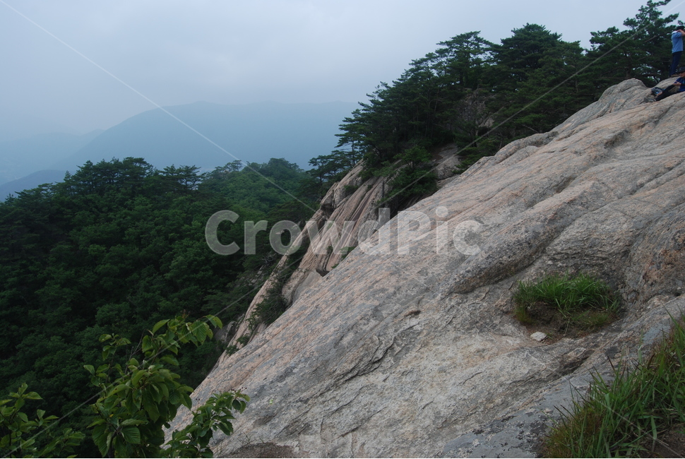 도락산,국립공원,탐방로,여름,자연,휴양림,자연,풍경,nature,landscape,slope,경사,outdoors,옥외