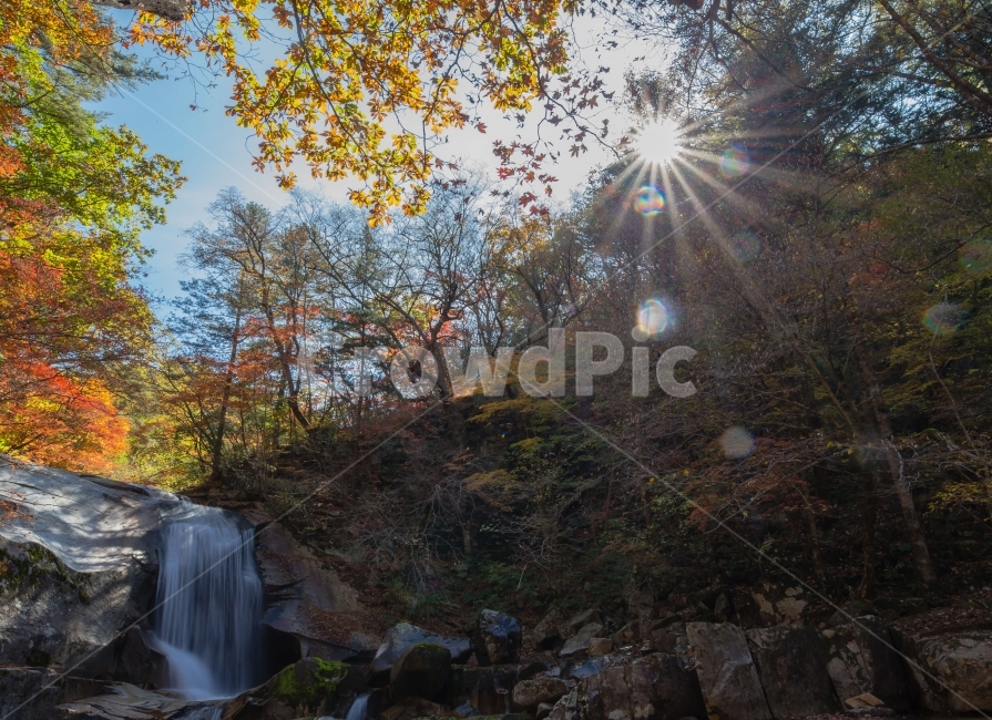 폭포,태양,가을,단풍,산,풍경,은행,가을,계절,fall,autumn,season,자연,풍경,nature,landscape,한국자연풍경,한국자연경관,korea nature landscape,휴식,힐링,rest,relaxation,healing,flare,플레어,light,빛