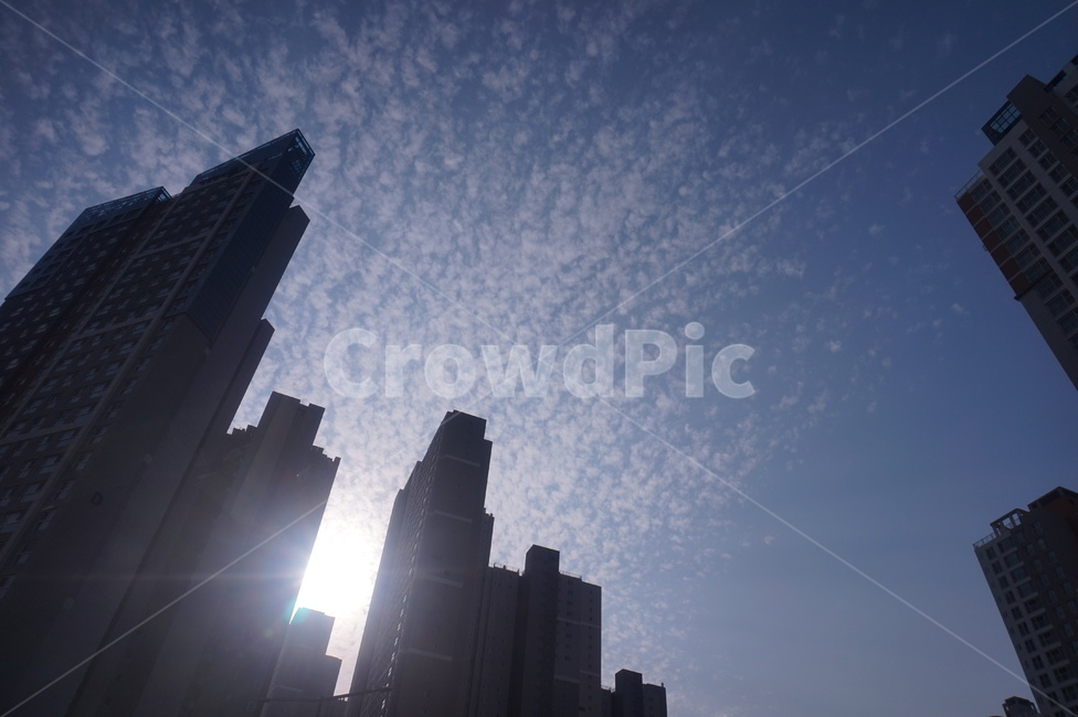 flare,light,빛,sunlight,햇빛