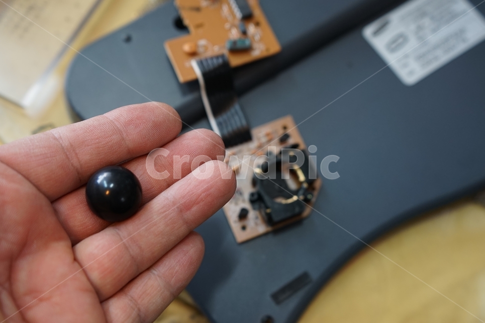 볼마우스,부품,볼,기판,컴퓨터주변기기,mouse,ballmouse,마우스,포인터,parts,computer,device,주변기기,사람,인물,인간,human,person,신체일부,몸,body,정보통신기술,전자기기,전자제품,it,information,technology,electronic equipment