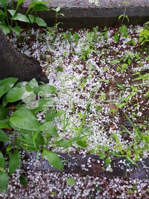 chunk of ice,weather change,ice,climate,hail,Snowdrops,meteorological phenomenon,hail shower,hail damage,Natural Disasters,extreme weather,grandine,weather,fight