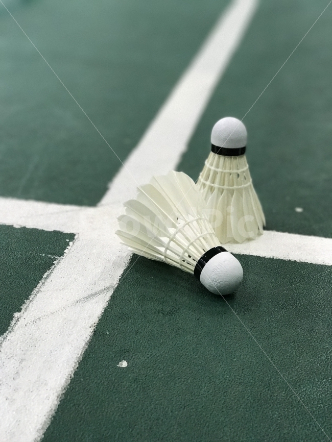 셔틀콕,배드민턴,배드민턴공,체육,스포츠,운동,Shuttlecock,스포츠,레저,운동,sports,leisure,exercise,사물,물건,오브젝트,thing,object,matter