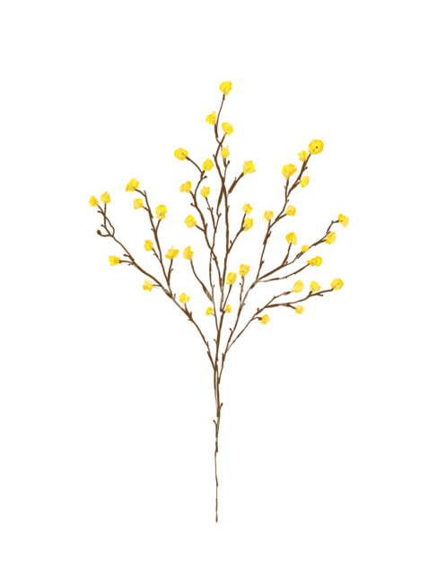 봄,꽃,식물,나뭇가지,그림,엽서,배경,일러스트,plant,flower,drawing,spring,background,illustration