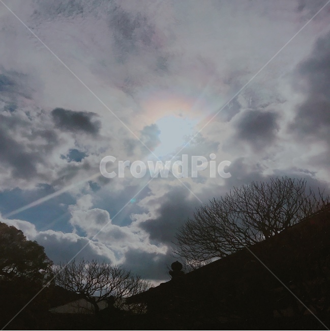 하늘,구름,나뭇가지,겨울풍경,sky