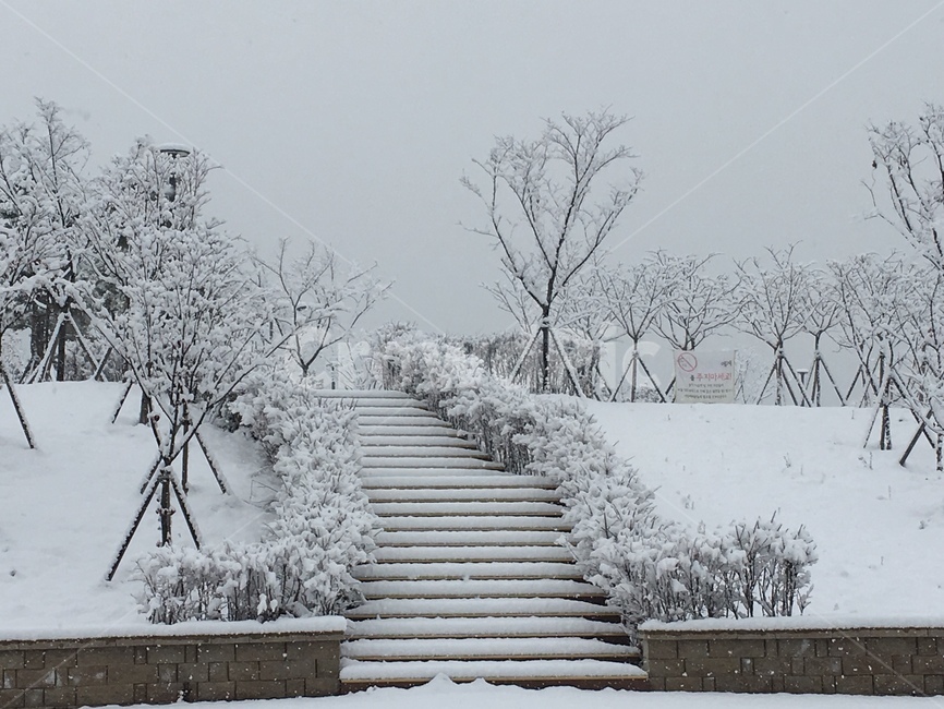 겨울풍경,겨울,눈,설경,폭설,겨울길,snow,winter,winterlandscape,겨울,계절,winter,season