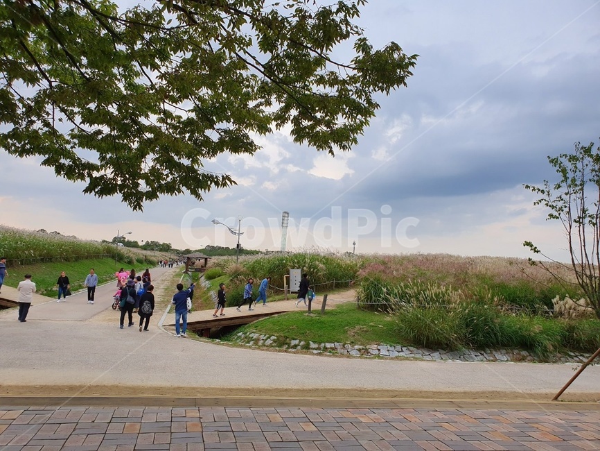 human,인간,person,사람,path,통로,tree,나무,plant,식물