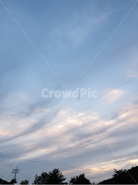 해질녘,구름,밤,nature,자연,outdoors,sky,하늘,전기줄,어두운,나무,어두워져가는,하루끝,하루