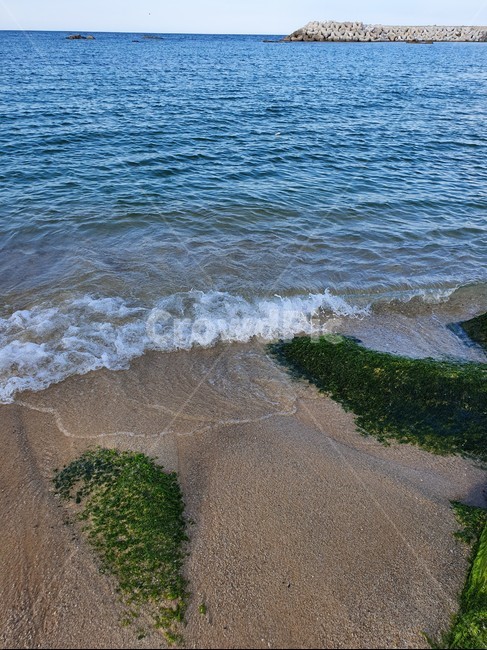 바다,sea,자연,ocean,shoreline,해안선,water,물,nature,sand,모래,파도,자연,풍경,nature,landscape,outdoors,옥외,대양