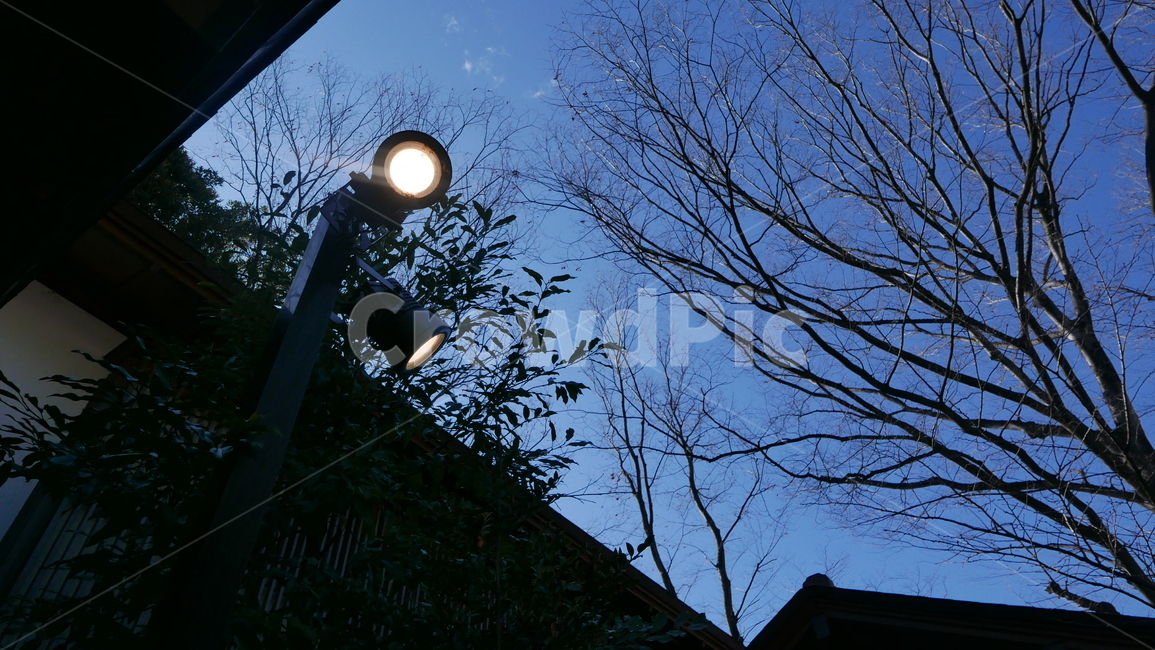 저녁,사찰,일본사찰,푸르스름한,고요